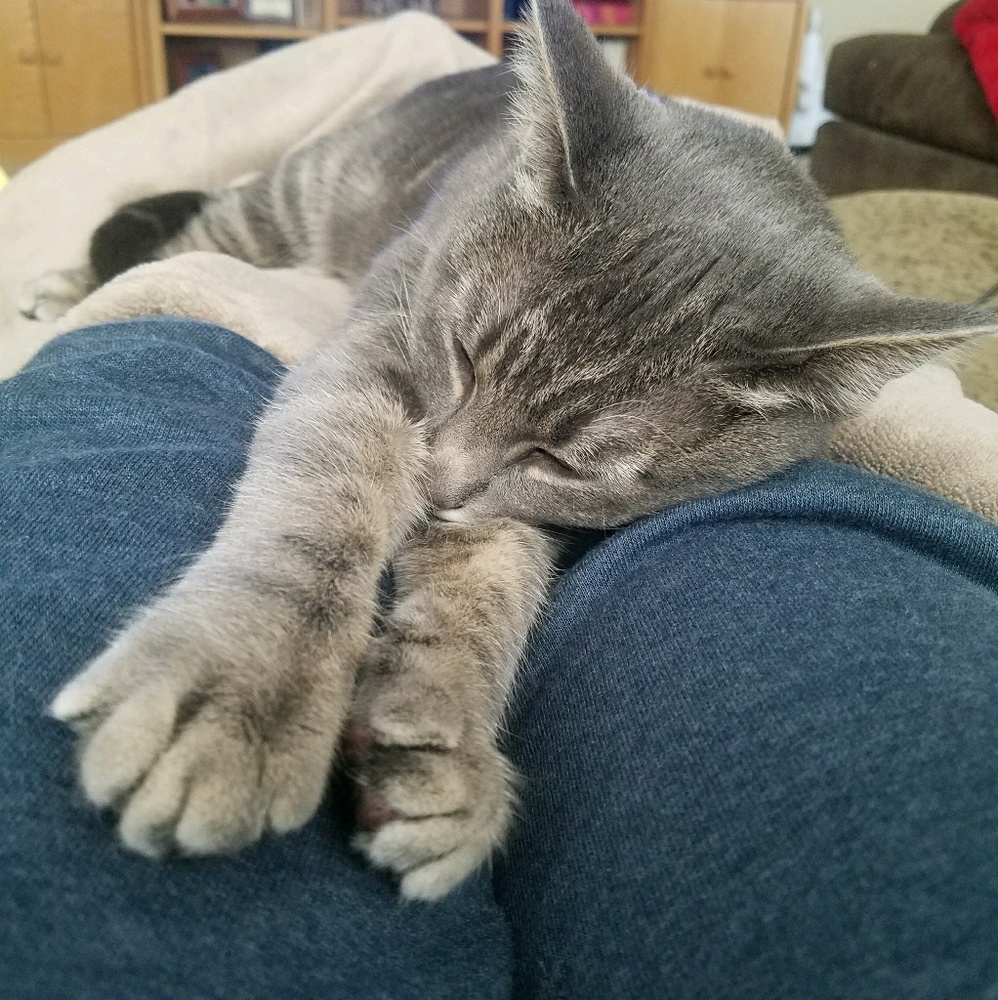 Meet your Posher, Karen